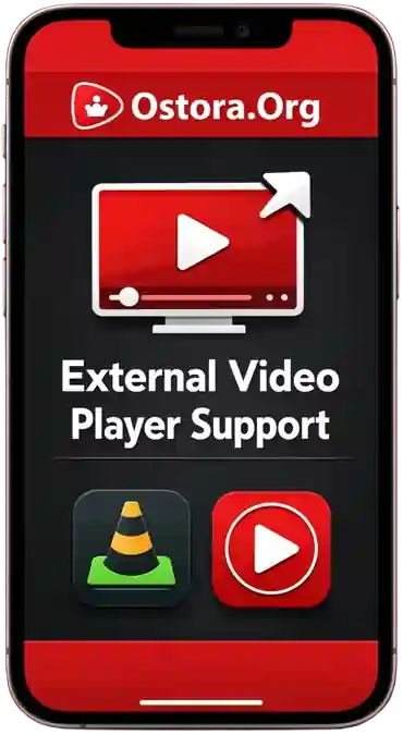 دعم مشغلات الفيديو الخارجية